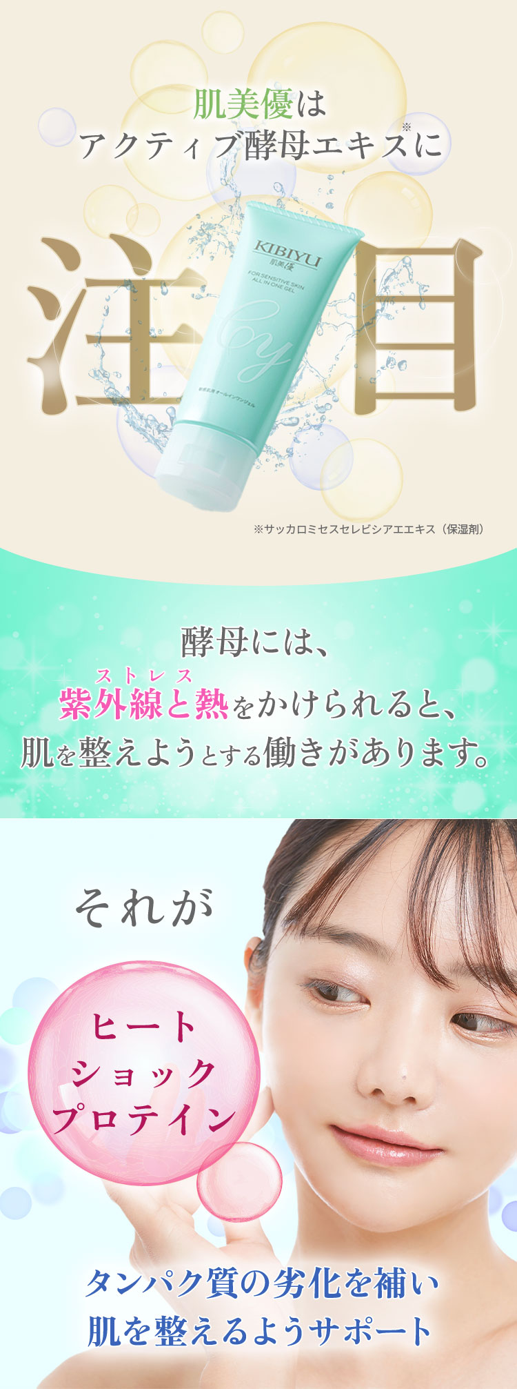 肌美優はアクティブ酵母エキスに注目